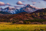 Home Range