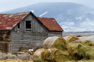Winter in the Valley