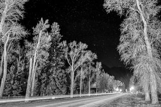 Lake City Nights