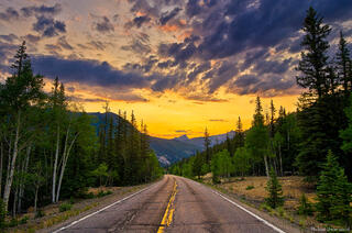 The Road Home