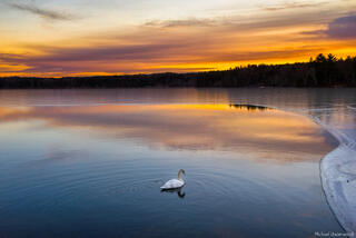 On Whitin Pond