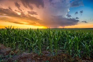 Pleasanton Storm