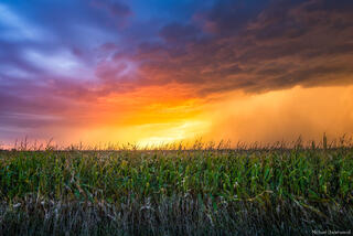 Sky Alight