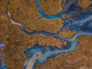 Cristobal Wetlands