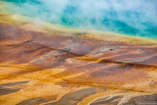 Prismatic Palette