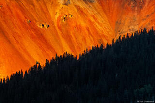 Red Mountain Pines
