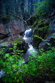 Cottonwood Creek
