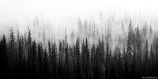 Haunted Rain