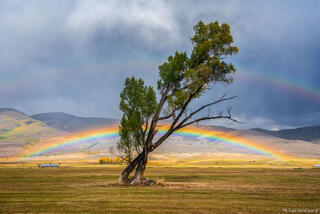 Rainbow and Cottonwoods