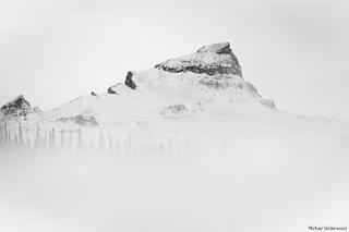 Uncompahgre Snow