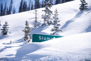 Snow of 2019
