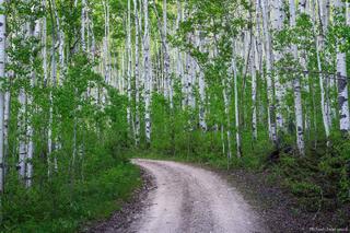 Aspen Corridor