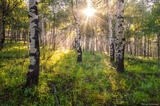 Aspen Sunrise