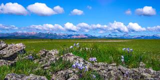 Snow Mesa Paradise