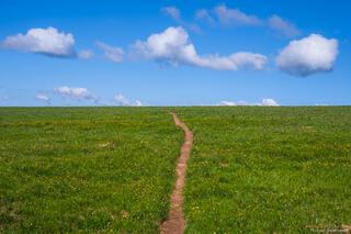 Walking With The Wind