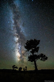 Lean into the Night