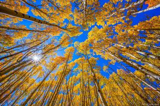 Look Up