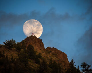 American Moon