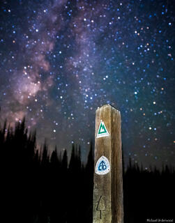 Long Trail Nights