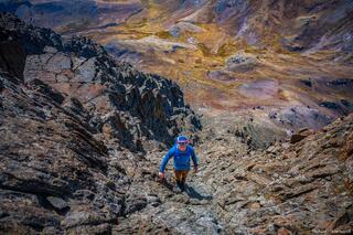 The Way Up