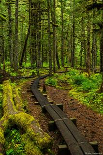 Tongass