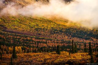 Alaskan Light
