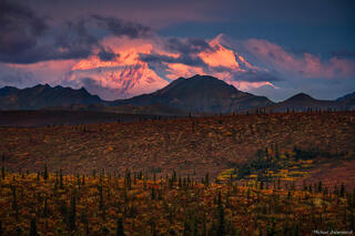 Denali Appears