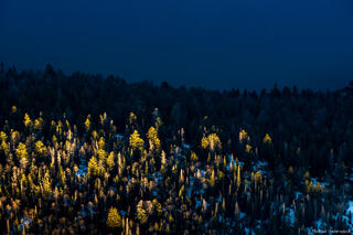 First Light and Shadows