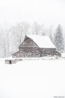 Winter Whiteout
