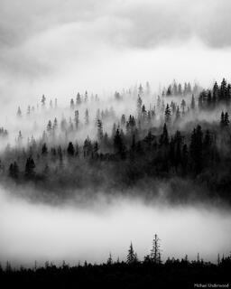 Surrounding Spirits