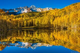 Colorado Gold