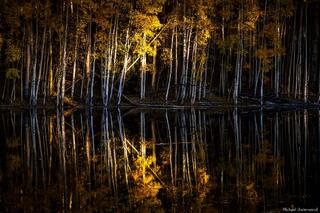 Shadow, Light and Water