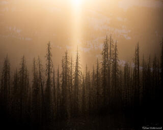 Pillar of Light