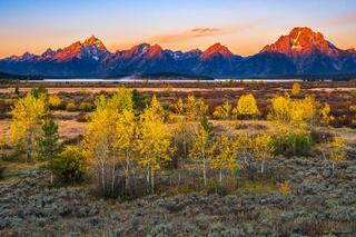 Teton Autumn