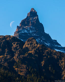 Pilot Moon