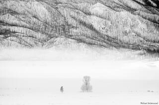 Cold Creede