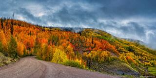 Vibrant Road