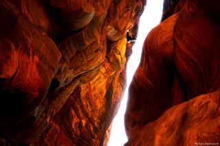 Canyon Caw