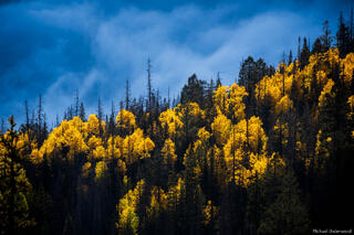 Autumn Inversion