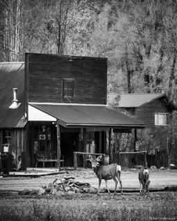 Lake Fork Conservancy