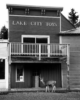 Lake City Toys