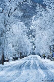 Frozen Morning