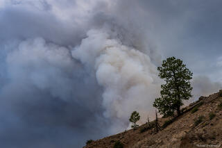 colorado, elk fire, fire, hinsdale county, lake city, san juan mountains, smoke, summer, wildfire