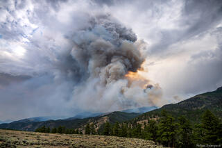 Elk Fire