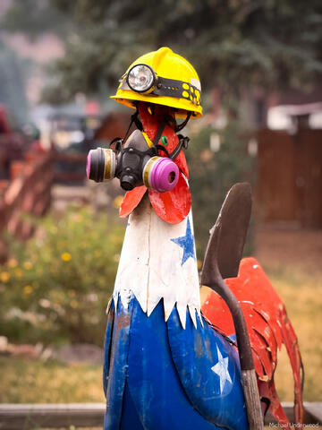 Elk Fire