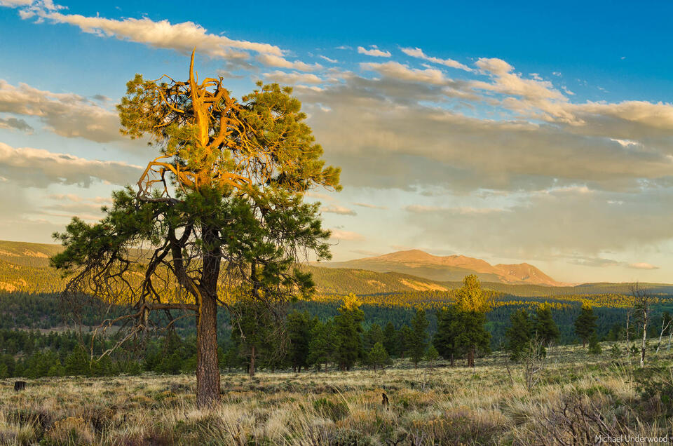 Powderhorn Sunset print