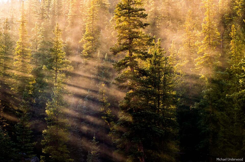 Slumgullion Dawn print