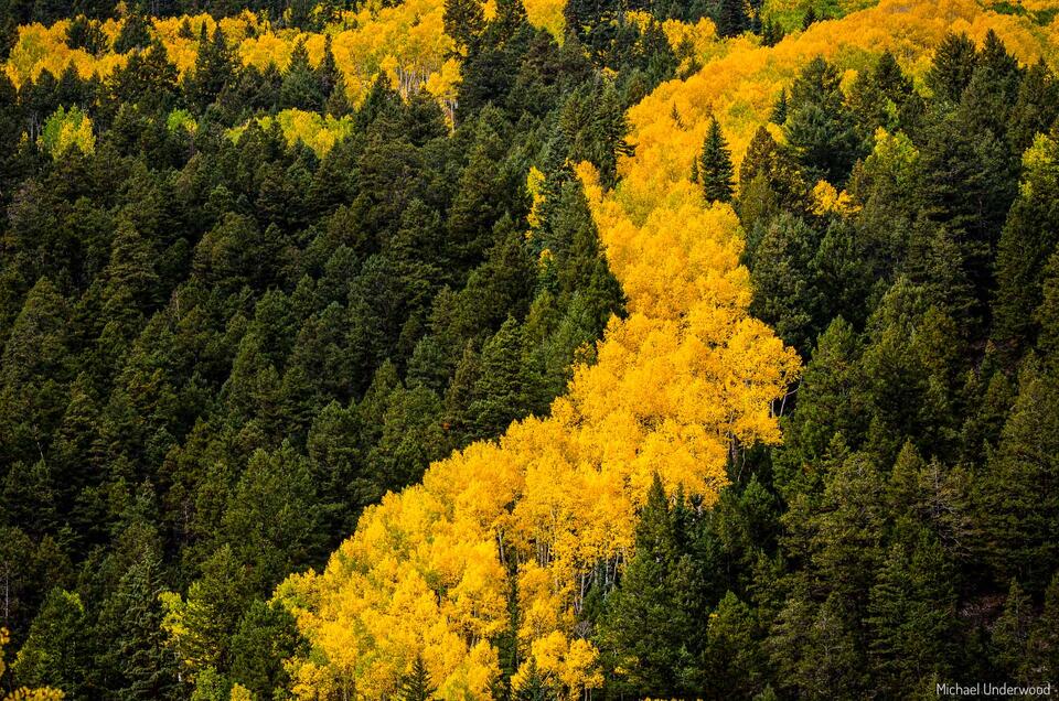 Aspen River print