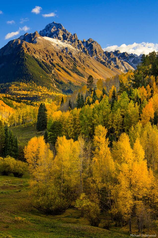 Sneffels Gold print