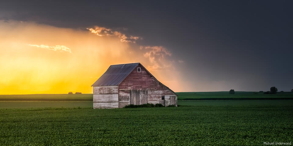 Echoes of the Plains print